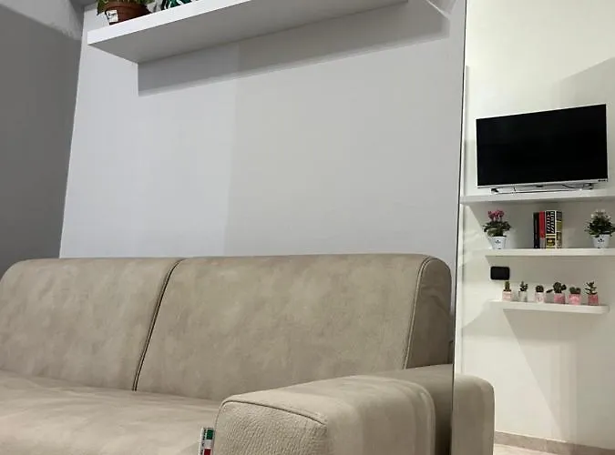 * Maciachini *